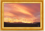 ~"You Follwed ME in the Desert~