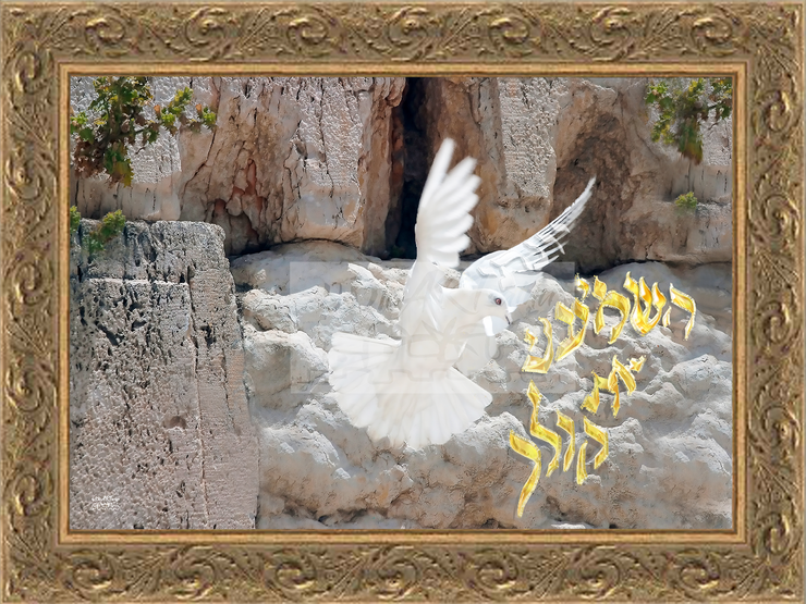 ~Let ME Hear Your Supplicating Voice~