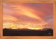 ~"You Follwed ME in the Desert~