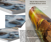 JUDAICA WAILING WALL ART~Alone with Holy Kotel Stones~