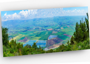 ISRAEL ART~Hula Valley Nature Reserve, Upper Galilee~