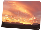 ~"You Follwed ME in the Desert~