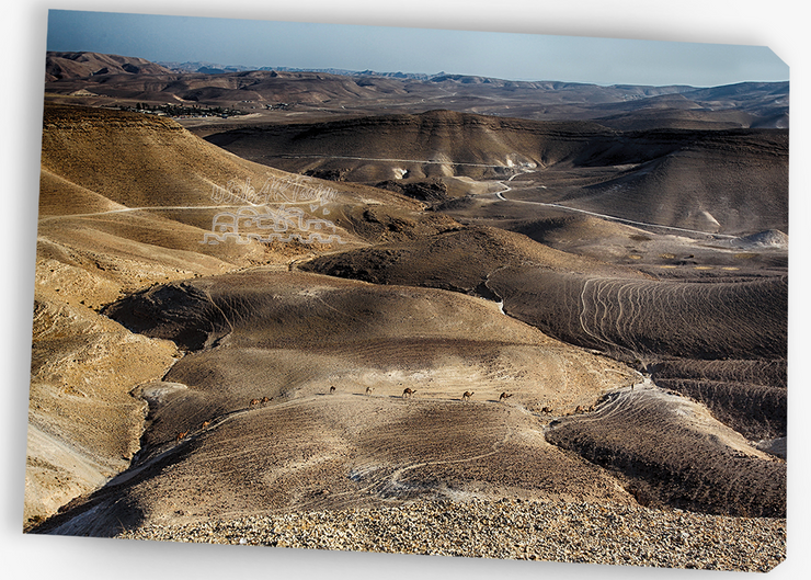 ISRAEL ART~Aerial View Judean Desert Overlooking Dead Sea~
