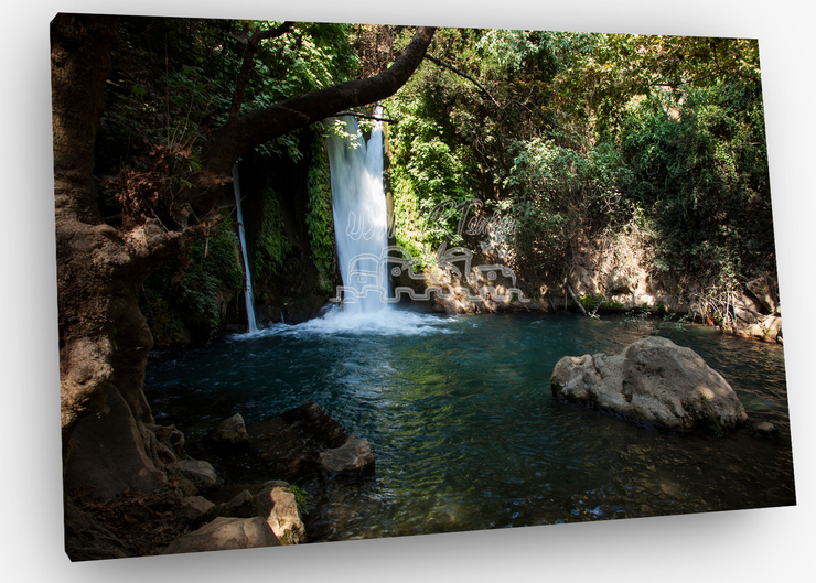 ISRAEL ART~Banias Falls, Golan Heights Northern Israel~