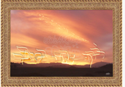~"You Follwed ME in the Desert~