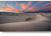 Serene Desert Beauty