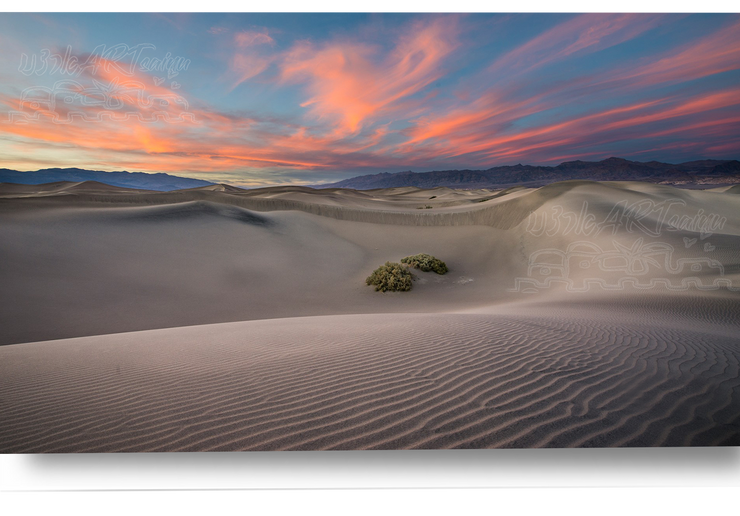 Serene Desert Beauty