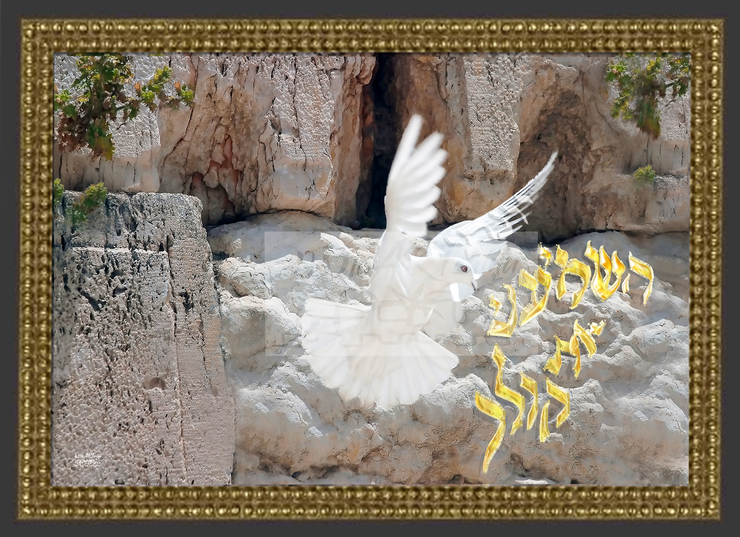 ~Let ME Hear Your Supplicating Voice~