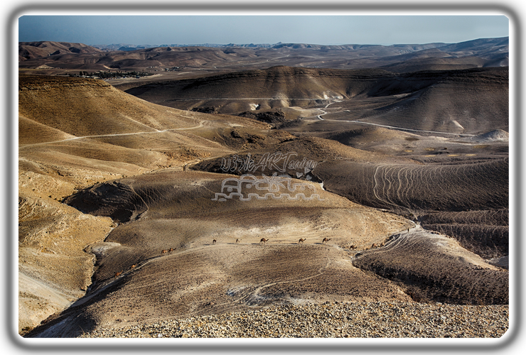 ISRAEL ART~Aerial View Judean Desert Overlooking Dead Sea~