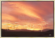 ~"You Follwed ME in the Desert~