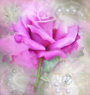 ~Speech Of The Rose~