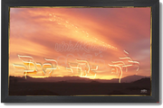 ~"You Follwed ME in the Desert~