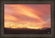 ~"You Follwed ME in the Desert~