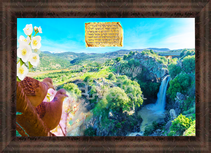 ~Redemption   In Our Land~