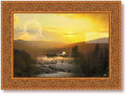 AMBROSIA GOLD ON 3/4 INCH CANVAS